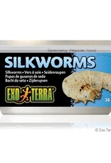 Exo Terra EXO TERRA Canned Specialty Reptile Food 34g