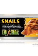 Exo Terra EXO TERRA Canned Specialty Reptile Food 34g