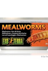 Exo Terra EXO TERRA Canned Specialty Reptile Food 34g