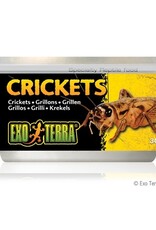Exo Terra EXO TERRA Canned Specialty Reptile Food 34g