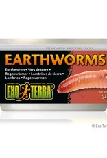 Exo Terra EXO TERRA Canned Specialty Reptile Food 34g