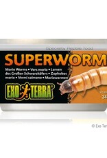 Exo Terra EXO TERRA Canned Specialty Reptile Food 34g