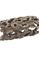 Exo Terra EXO TERRA Cholla Cactus Skeleton