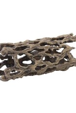 Exo Terra EXO TERRA Cholla Cactus Skeleton