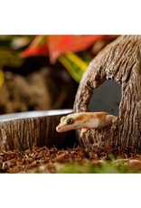 Exo Terra EXO TERRA Coconut Hide & Water Dish