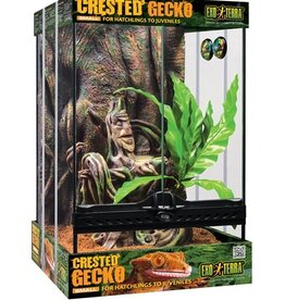 Exo Terra EXO TERRA Crested Gecko Kit - Sm 30x30x45cm