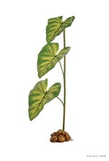 Exo Terra EXO TERRA Dripper Plant