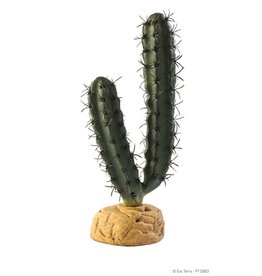 Exo Terra EXO TERRA Finger Cactus