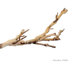 Exo Terra EXO TERRA Forest Branch