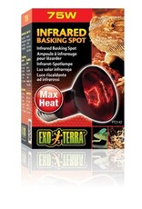 Exo Terra EXO TERRA Infrared Basking Spot