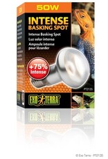 Exo Terra EXO TERRA Intense Basking Spot