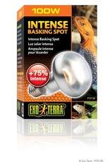 Exo Terra EXO TERRA Intense Basking Spot