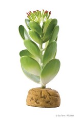 Exo Terra EXO TERRA Jade Cactus