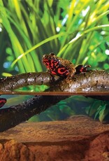 Exo Terra EXO TERRA Jungle Bendable Vine 6ft