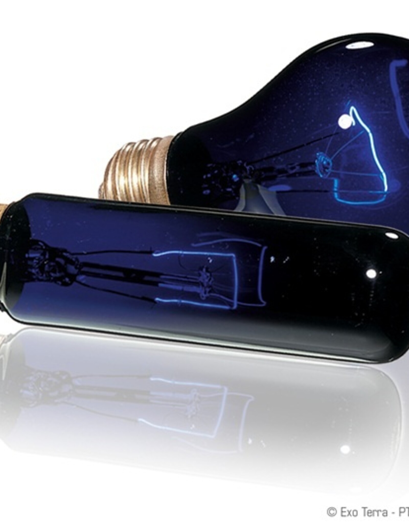 Exo Terra EXO TERRA Night Heat Lamp