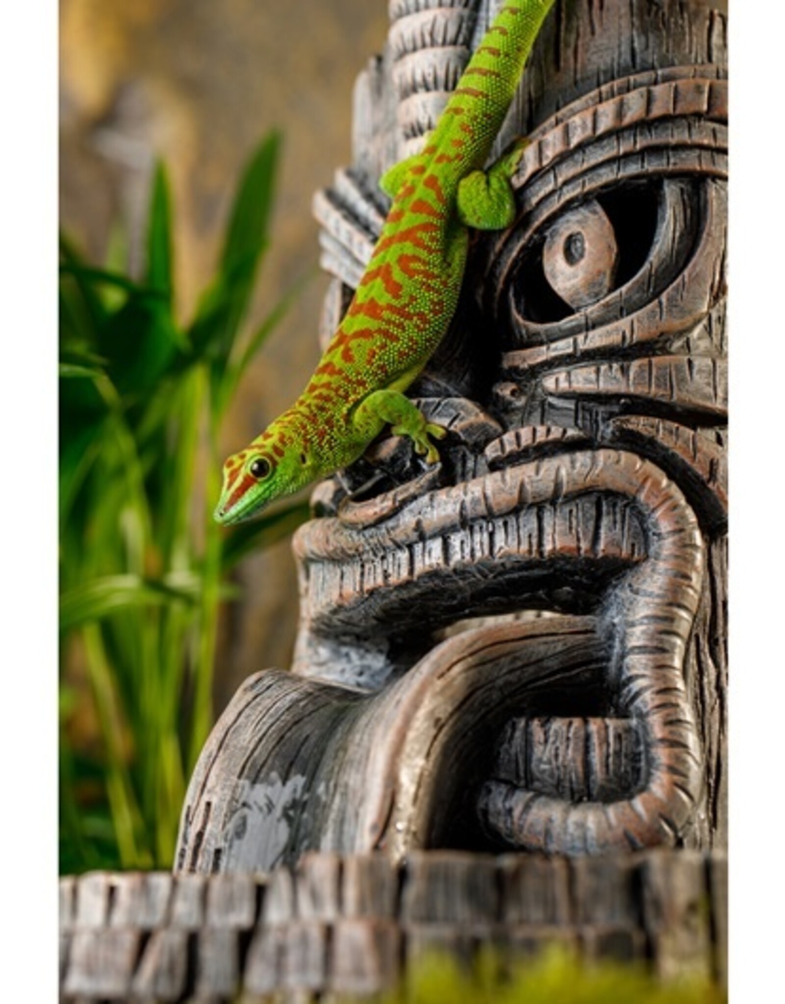 Exo Terra EXO TERRA Tiki Waterfall