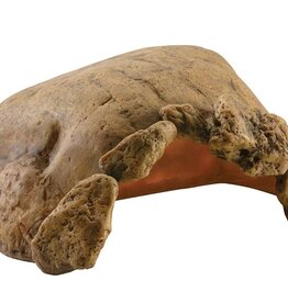 Exo Terra EXO TERRA Tortoise Cave