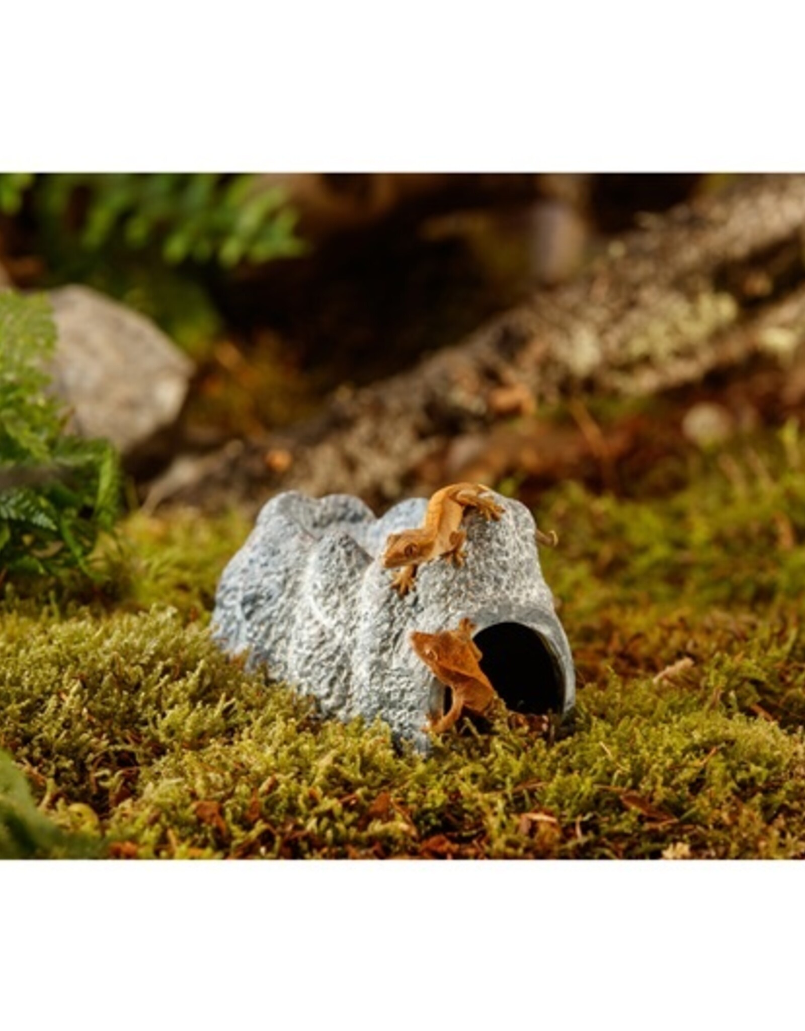 Exo Terra EXO TERRA Wet Rock