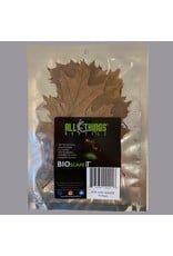 All Things Reptiles ALL THINGS REPTILE Oak Leaf Litter