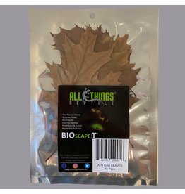 All Things Reptiles ALL THINGS REPTILE Oak Leaf Litter