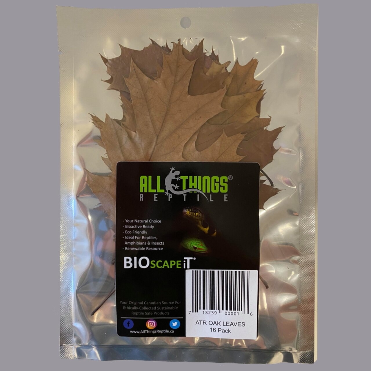 ALL THINGS REPTILE Oak Leaf Litter Roger's Aquatics & Pet Supplies