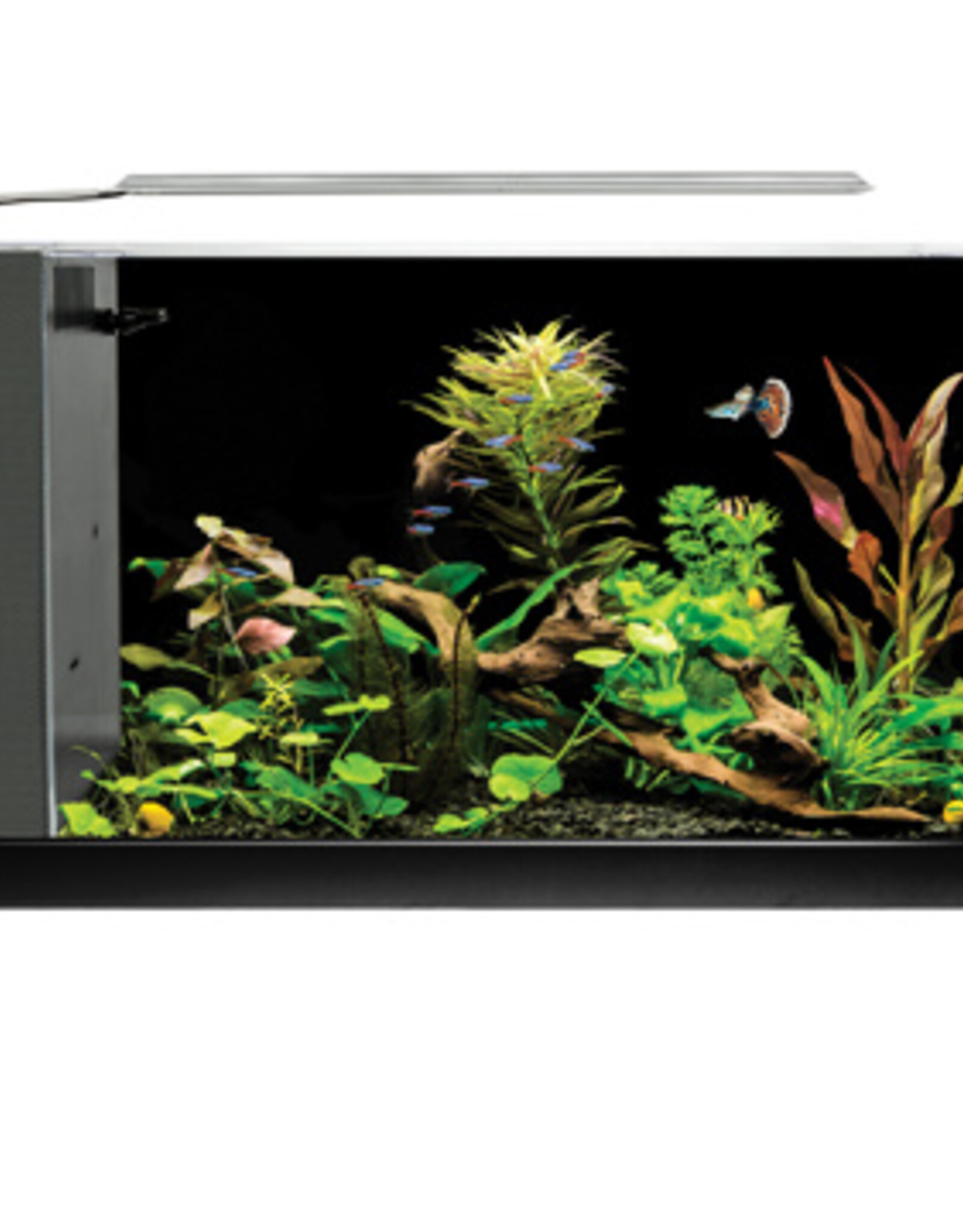 Fluval FLUVAL SPEC Black Glass Aquarium 5Gal (19L)