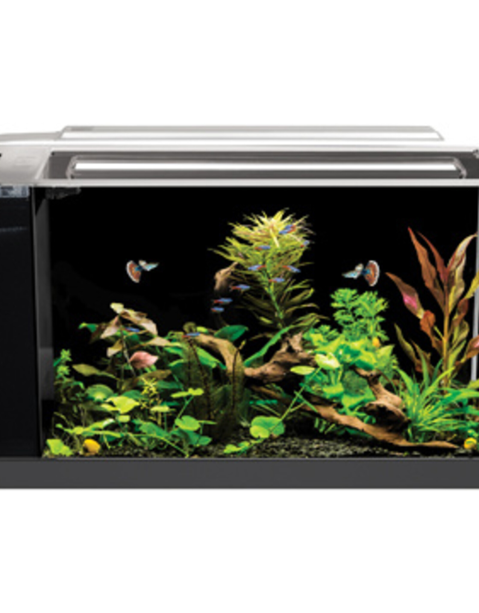 Fluval FLUVAL SPEC Black Glass Aquarium 5Gal (19L)