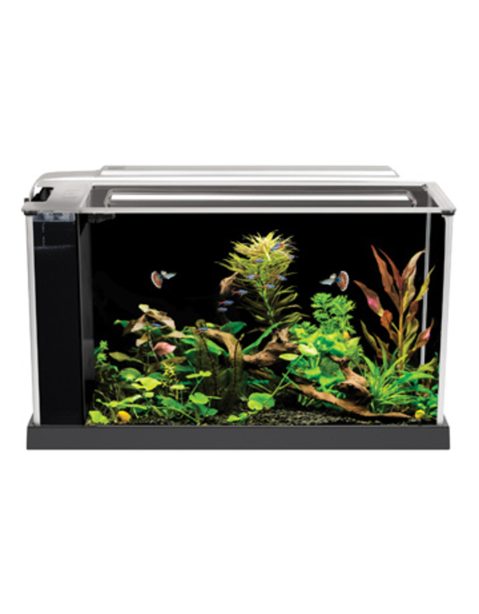 Fluval FLUVAL SPEC Black Glass Aquarium 5Gal (19L)