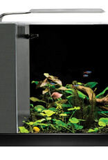 Fluval FLUVAL SPEC Black Glass Aquarium 2.6 gallon