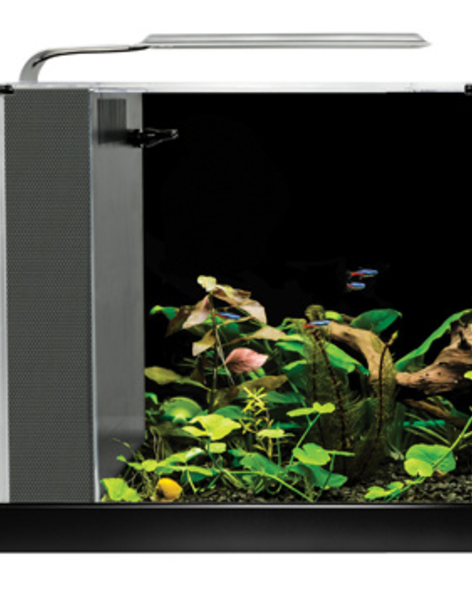 Fluval FLUVAL SPEC Black Glass Aquarium 2.6 gallon