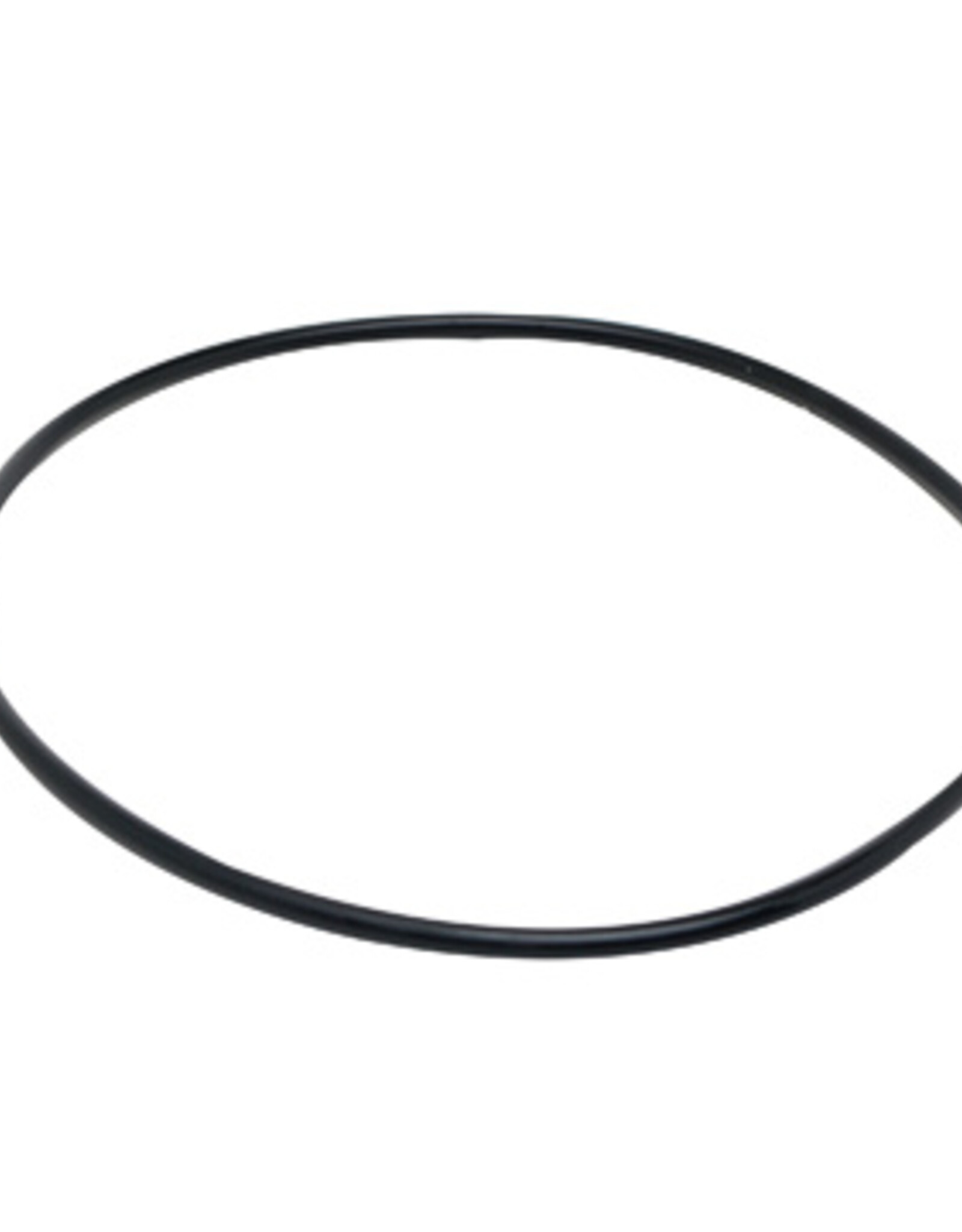 Fluval FLUVAL Motor Seal Ring 104/105/106, 204/205/206