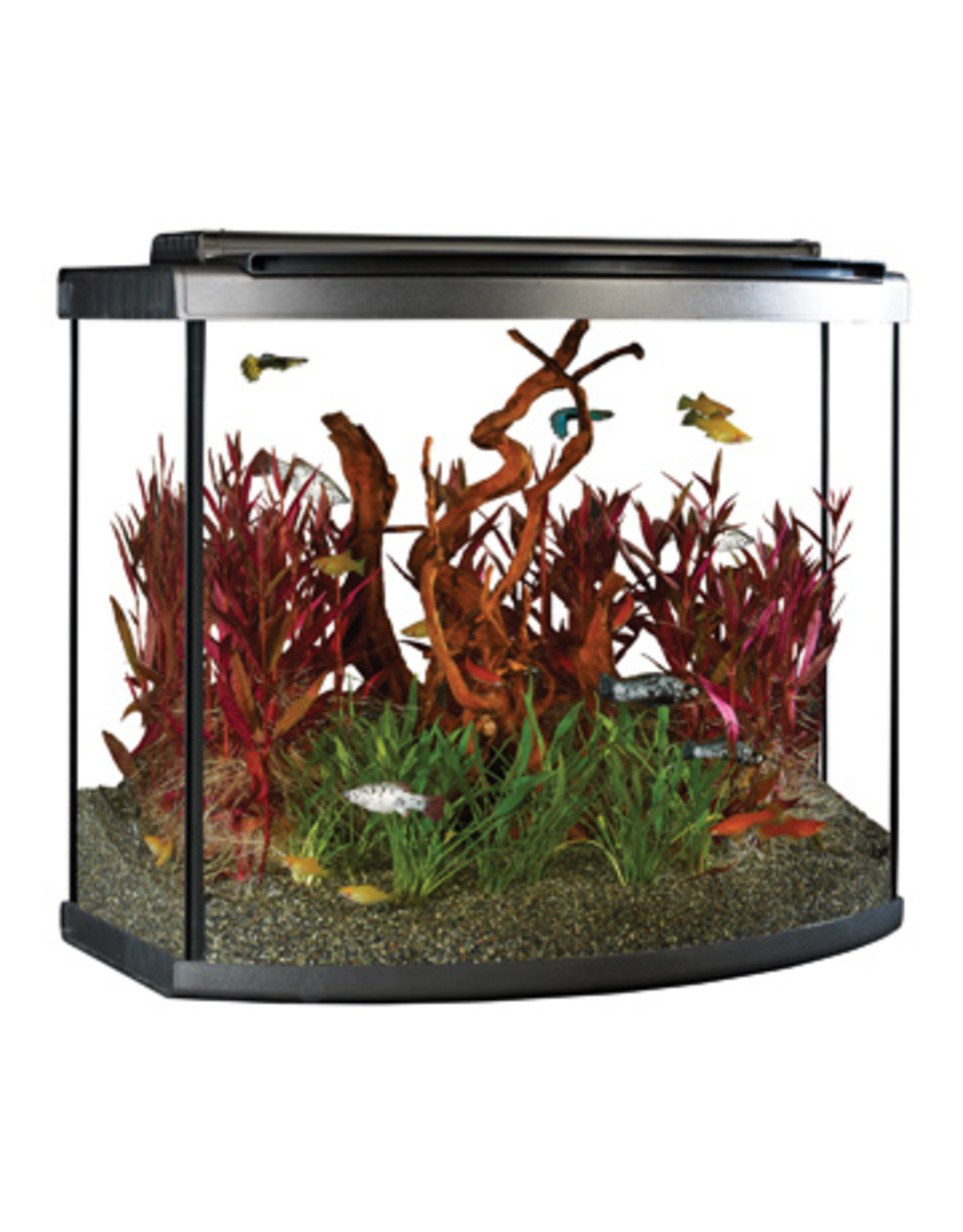 Fluval FLUVAL LED Aquarium Kit