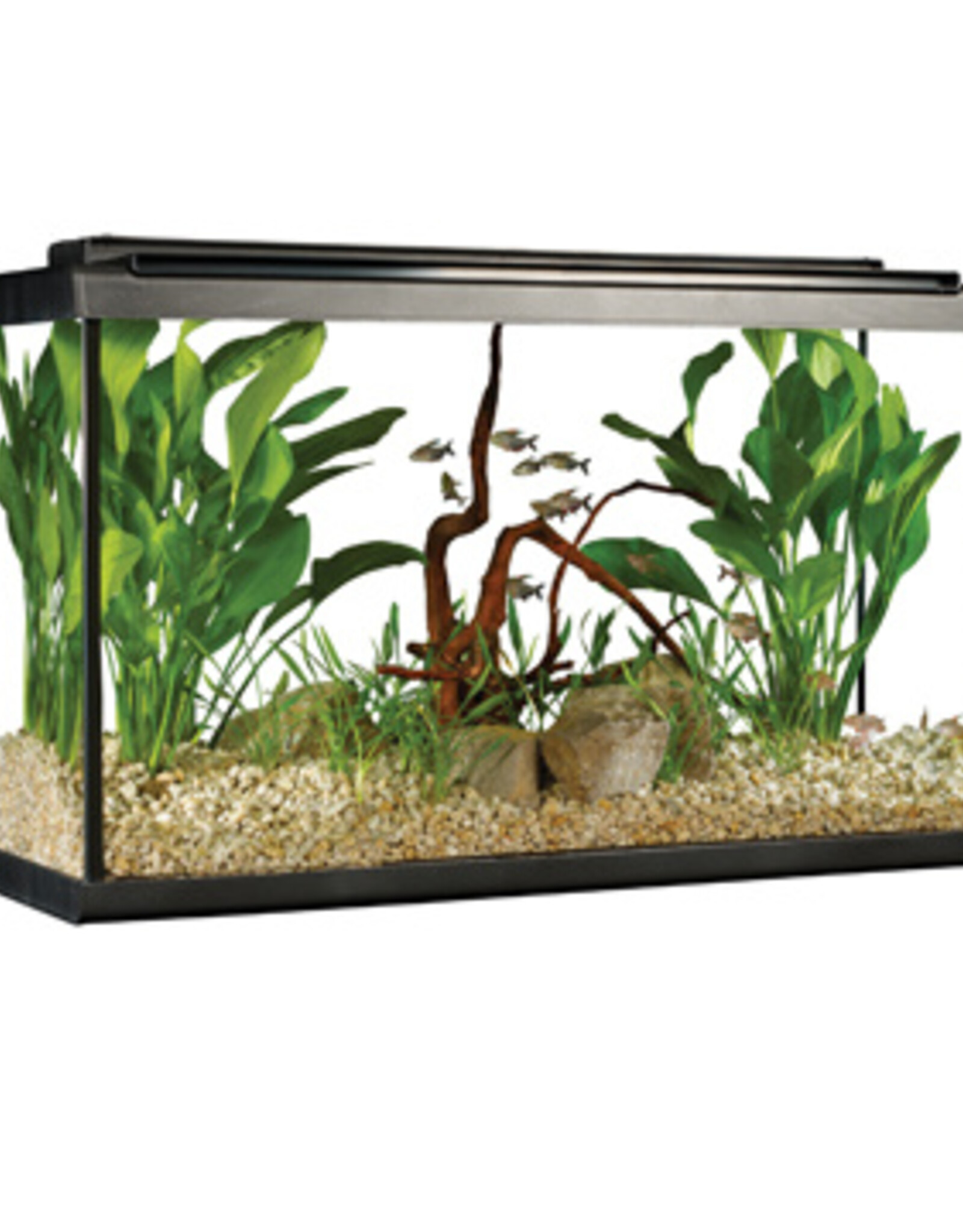 Fluval FLUVAL LED Aquarium Kit