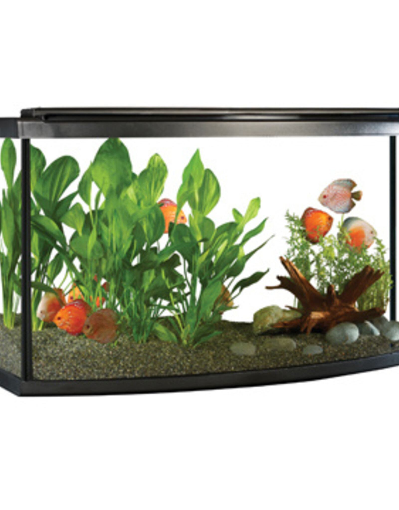 Fluval FLUVAL LED Aquarium Kit