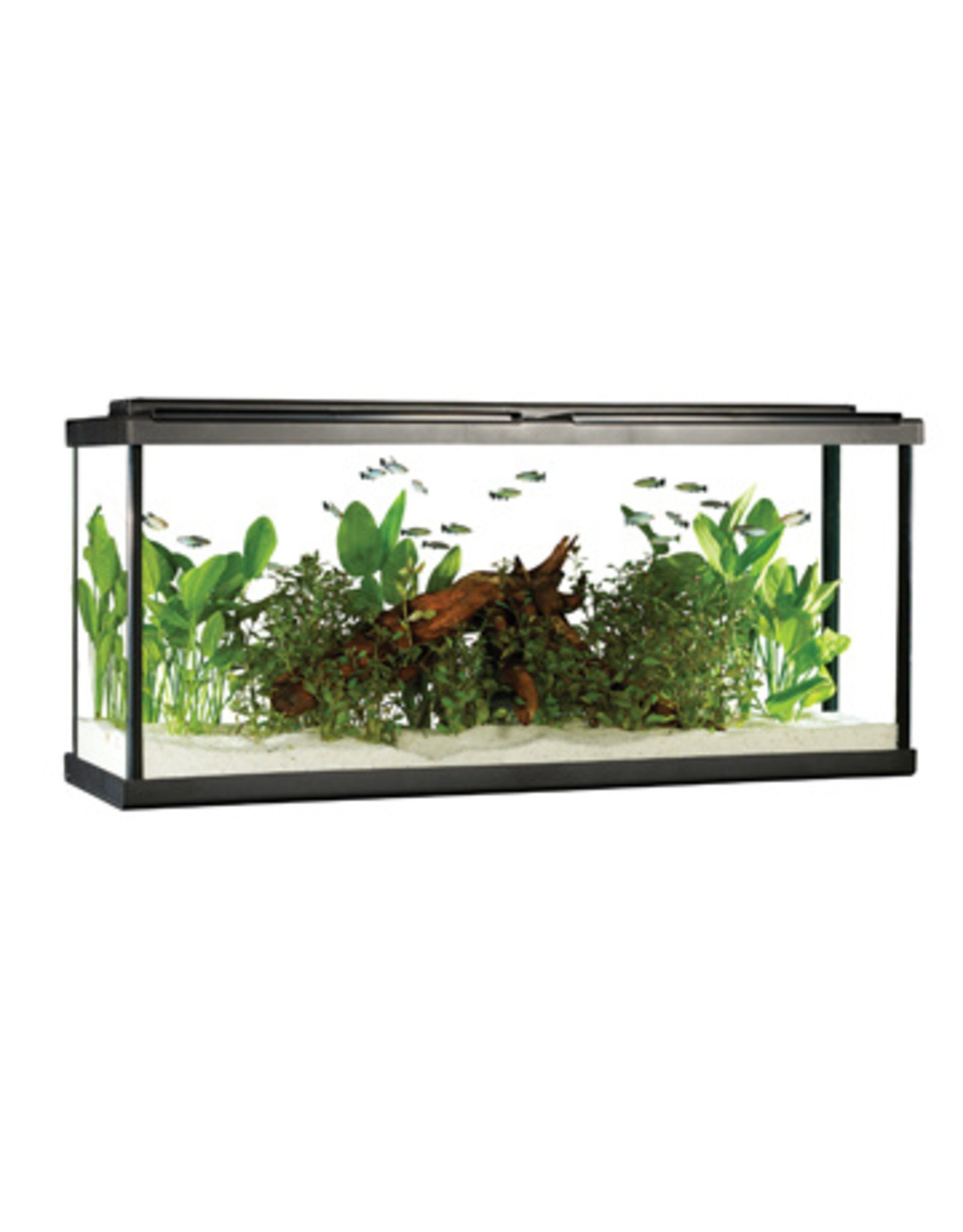 Fluval FLUVAL LED Aquarium Kit