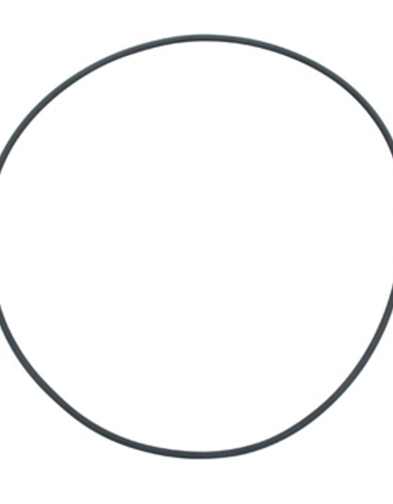 Fluval FLUVAL FX5/FX6 Filter Lid O-Ring