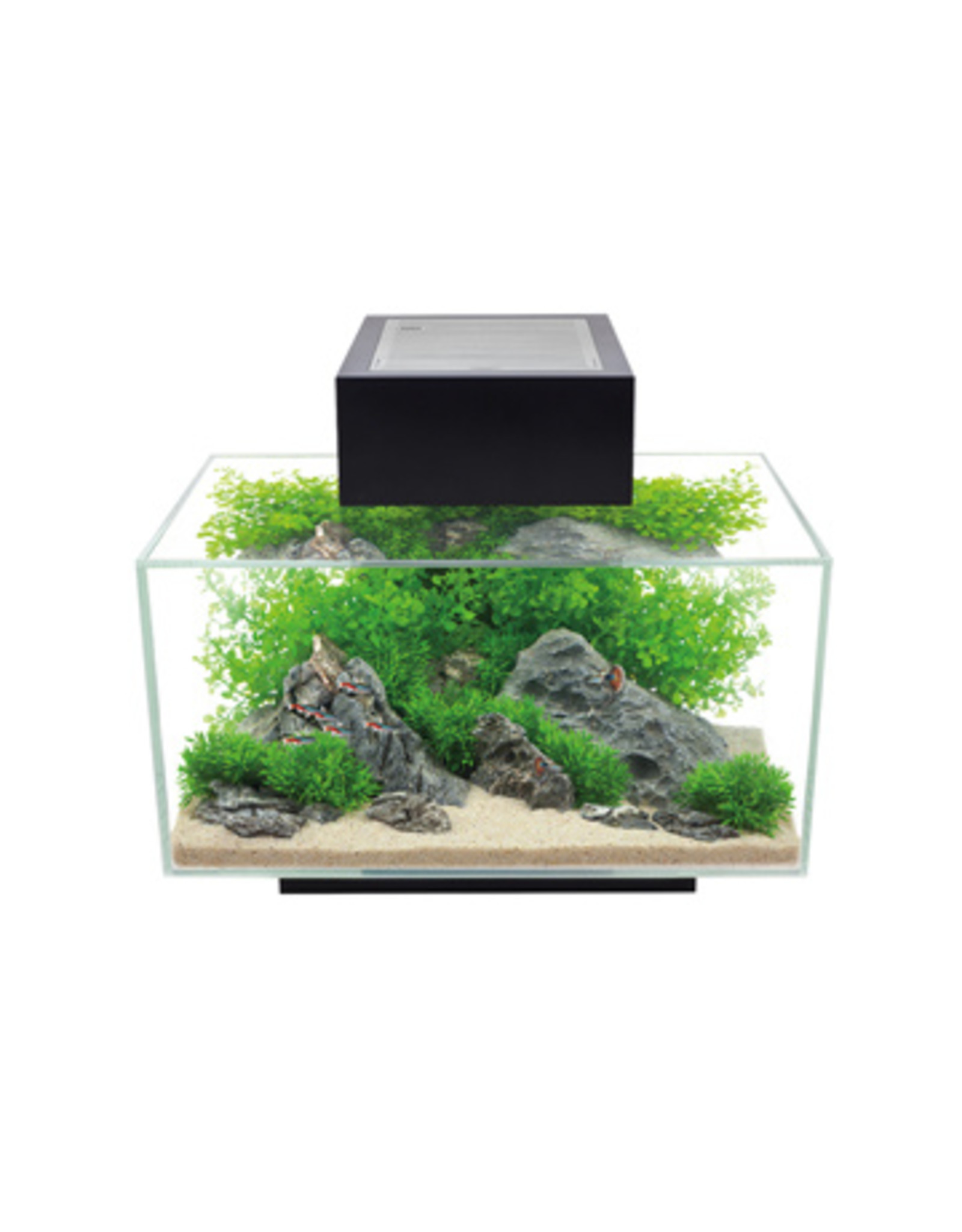 Fluval FLUVAL Edge Aquarium 2.0 Gloss Black