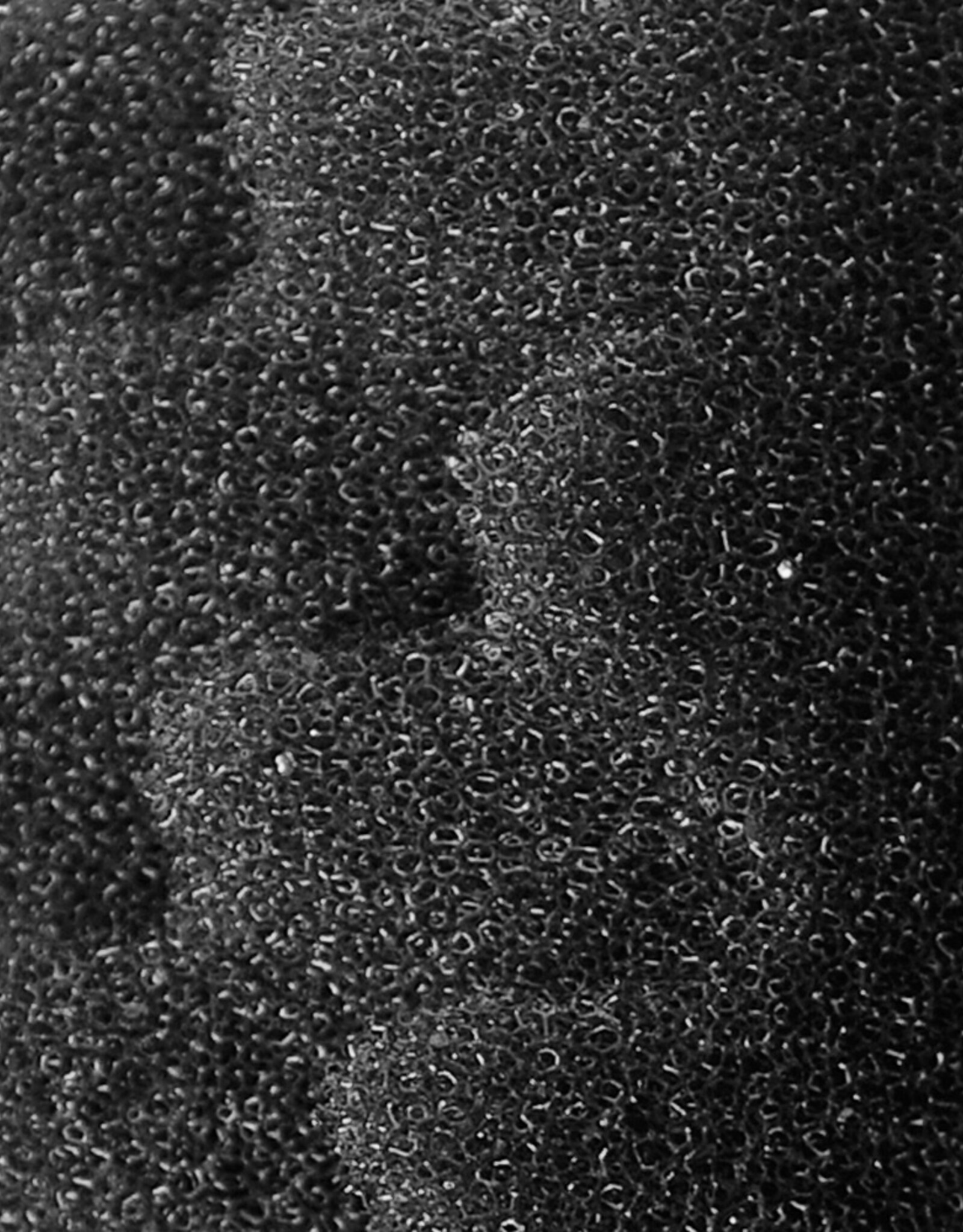 Fluval FLUVAL Bio-Foam +