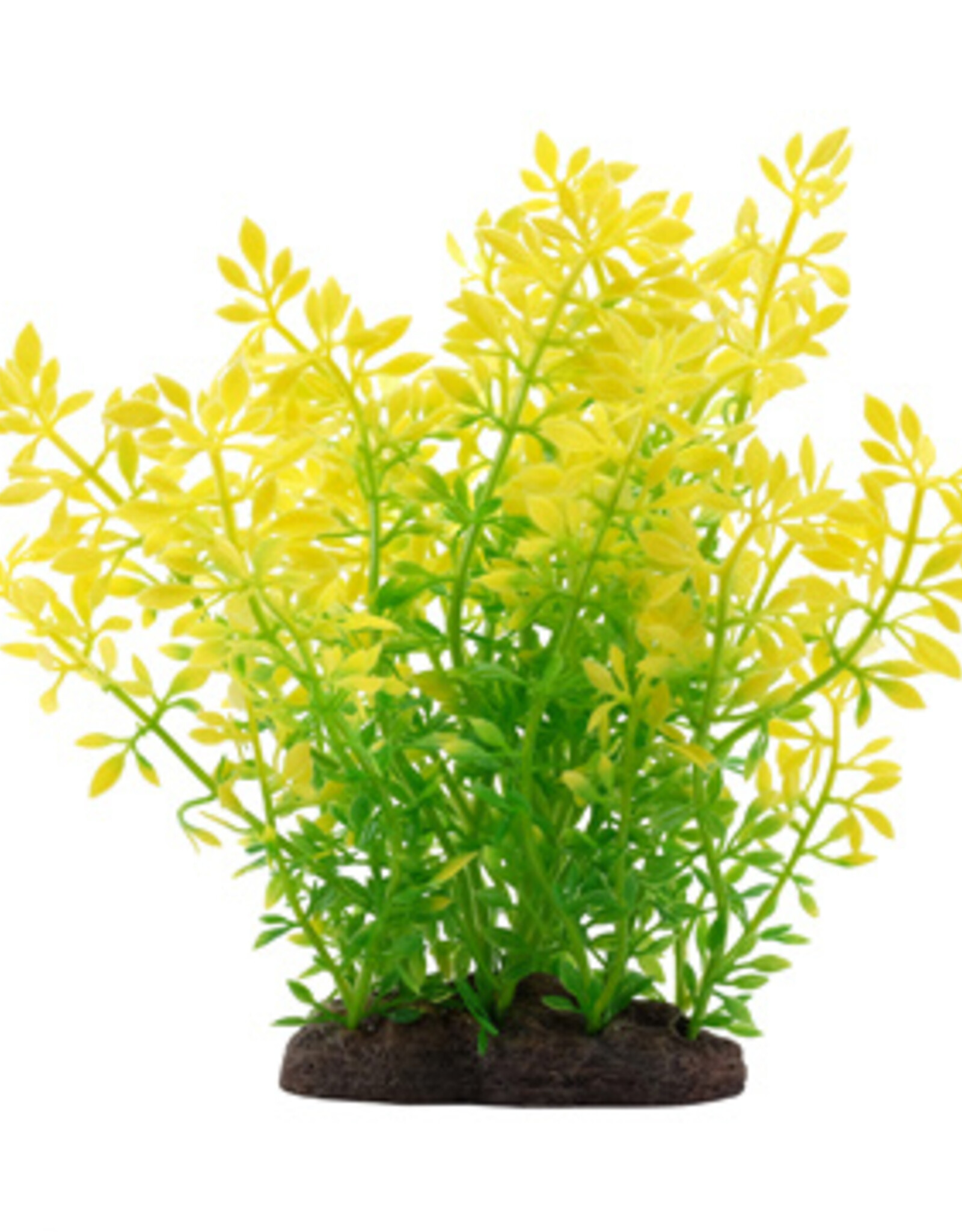 Fluval FLUVAL Aqualife Plant Scape Sunrise Water Violet 8"