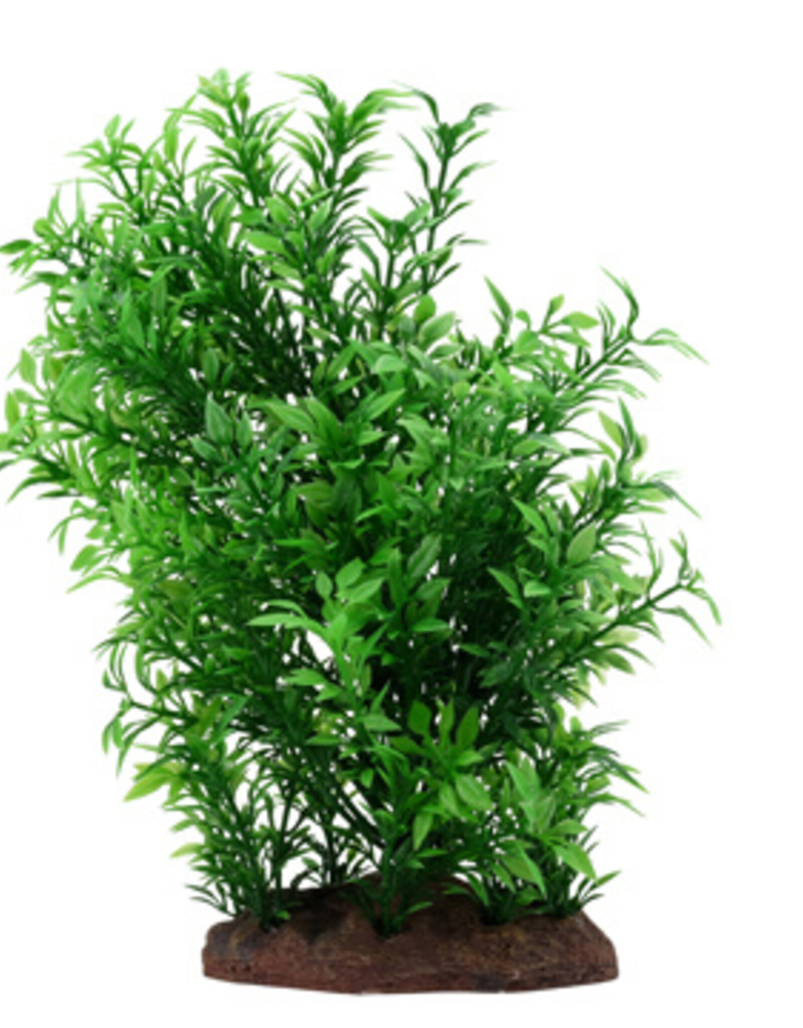 Fluval FLUVAL Aqualife Plant Scape Small Helzine 4-8"