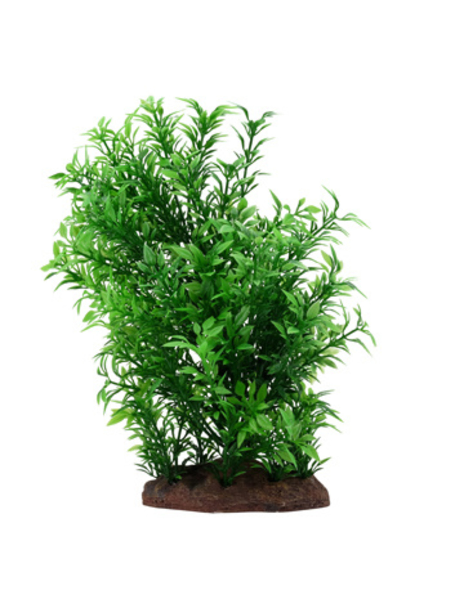 Fluval FLUVAL Aqualife Plant Scape Small Helzine 4-8"