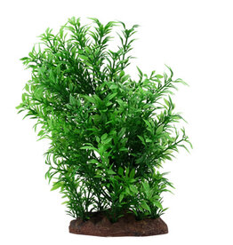 Fluval FLUVAL Aqualife Plant Scape Small Helzine 4-8"