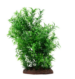 Fluval FLUVAL Aqualife Plant Scape Small Helzine 4-8"