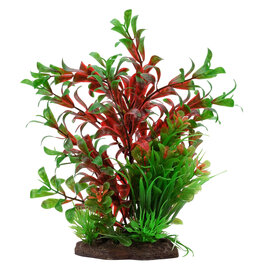 Fluval FLUVAL Aqualife Plant Scape Red Ludwigia/Dwarf Sagittarius 4-8"