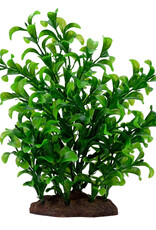 Fluval FLUVAL Aqualife Plant Scape Large Bacopa 4-8"