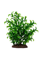 Fluval FLUVAL Aqualife Plant Scape Large Bacopa 4-8"