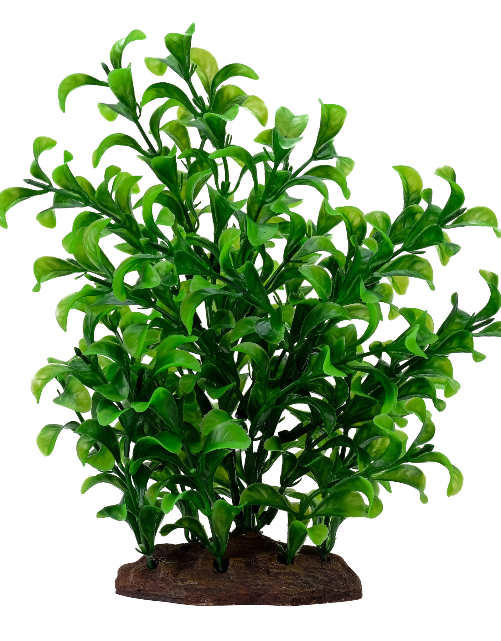 Fluval FLUVAL Aqualife Plant Scape Large Bacopa 4-8"