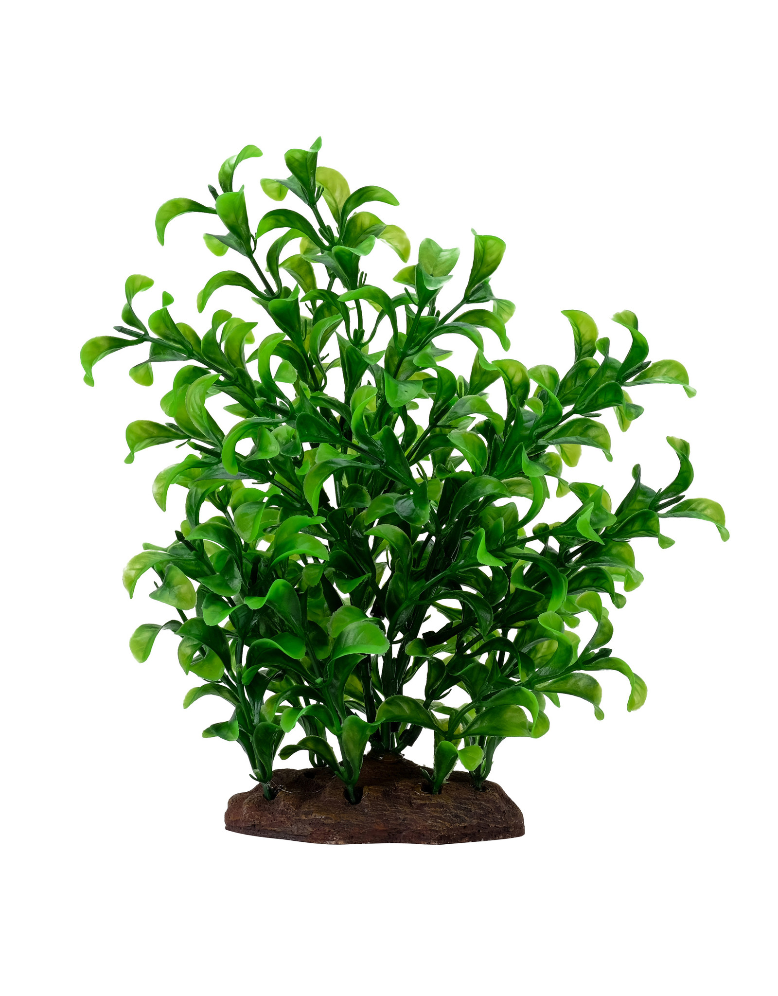 Fluval FLUVAL Aqualife Plant Scape Large Bacopa 4-8"