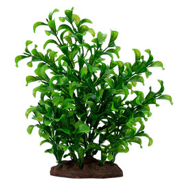Fluval FLUVAL Aqualife Plant Scape Large Bacopa 4-8"