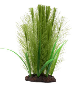 Fluval FLUVAL Aqualife Plant Scape Green Parrot's Feather/Valisneria